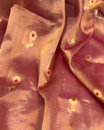 Blossom Organza Saree