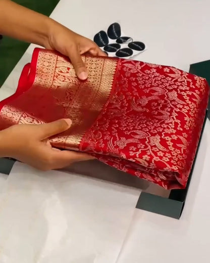Bride Silk Saree