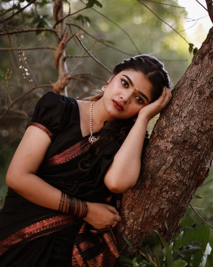 Classic North Indian Attire Inspired by Timeless Craft Saree