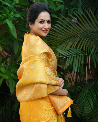 Heritage-Inspired Silk Drape for Grand Occasions